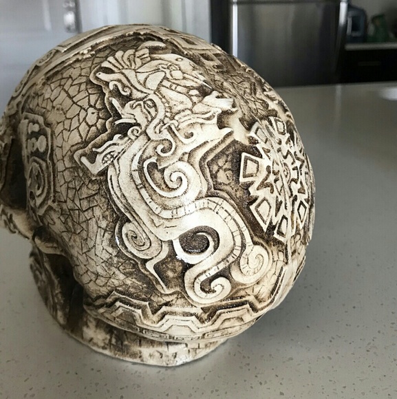 Cast skull - Picture 6 of 8